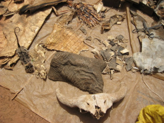 01 Materiel Pour Feticheurs   Peau De Crocos Etc